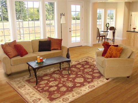 Ziegler Red Hand Knotted 80 X 105 Area Rug 100-10618 Image 4