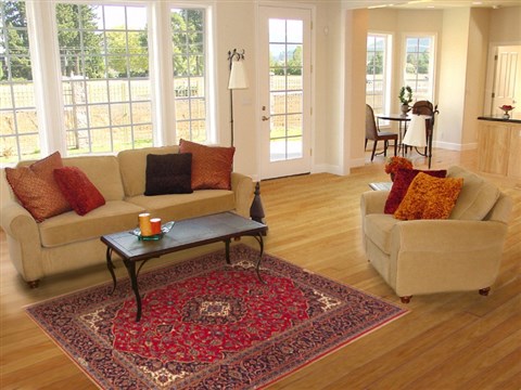 Kashan Red Hand Knotted 48 X 75 Area Rug 100-10631 Image 5