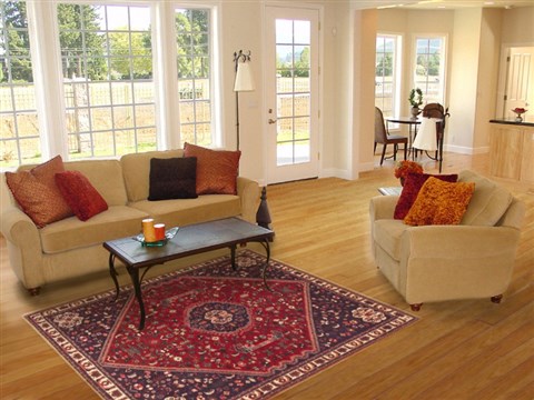Qashqai Red Hand Knotted 50 X 80 Area Rug 100-10633 Image 4