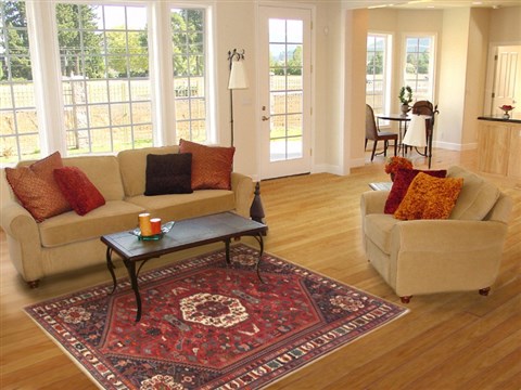 Qashqai Red Hand Knotted 53 X 82 Area Rug 100-10634 Image 4