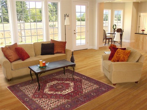 Gholtogh Red Hand Knotted 41 X 64 Area Rug 100-10648 Image 5