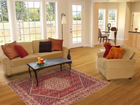 Bidjar Red Hand Knotted 38 X 59 Area Rug 100-10656 Image 5