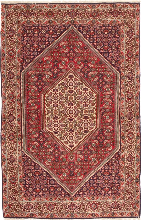 Bidjar Red Hand Knotted 38 X 59 Area Rug 100-10656 Image 0