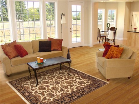 Jaipur Beige Hand Knotted 40 X 60 Area Rug 100-10657 Image 5
