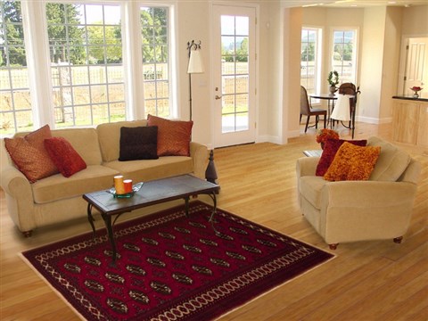 Turkman Red Hand Knotted 40 X 59 Area Rug 100-10665 Image 5