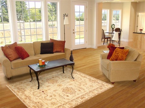 Chobi Beige Hand Knotted 50 X 70 Area Rug 100-10671 Image 5