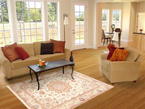 Tabriz Beige Hand Knotted 50 X 68 Area Rug 100-10673 Image 5