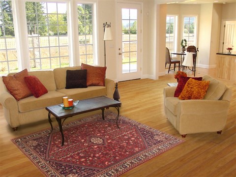 Abadeh Red Hand Knotted 410 X 68 Area Rug 100-10687 Image 5