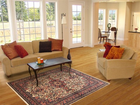 Bidjar Beige Hand Knotted 48 X 70 Area Rug 100-10693 Image 5