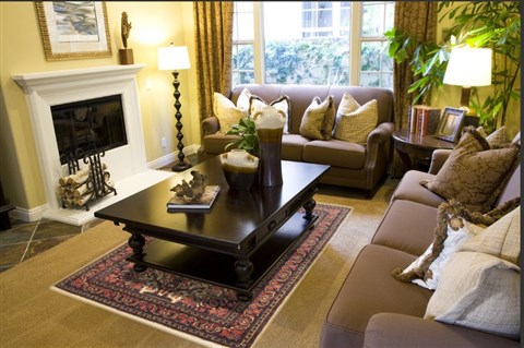 Bidjar Beige Hand Knotted 48 X 70 Area Rug 100-10693 Image 3