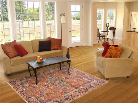 Nahavand Red Hand Knotted 49 X 69 Area Rug 100-10702 Image 5