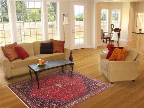 Abadeh Red Hand Knotted 50 X 69 Area Rug 100-10707 Image 5