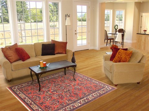 Sarouk Red Hand Knotted 48 X 70 Area Rug 100-10709 Image 5