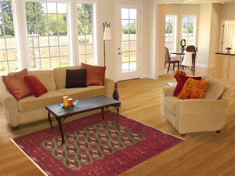 Turkman Green Hand Knotted 48 X 68 Area Rug 100-10720 Image 5