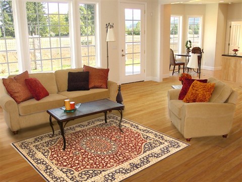 Qum Red Hand Knotted 43 X 63 Area Rug 100-10721 Image 5