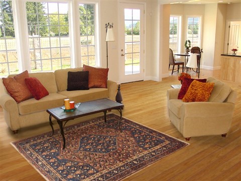 Zanjan Red Hand Knotted 48 X 68 Area Rug 100-10723 Image 5