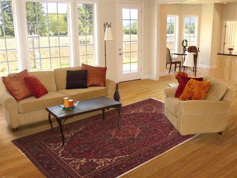 Goravan Red Hand Knotted 78 X 108 Area Rug 100-10733 Image 4