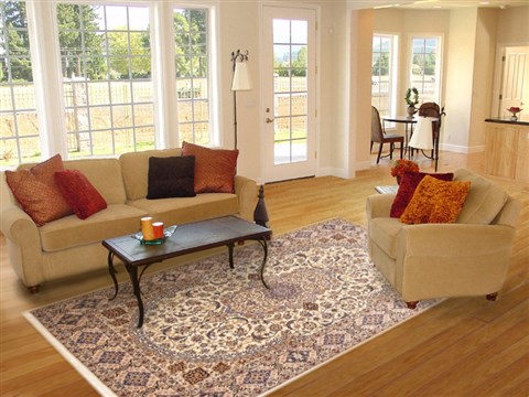 Nain Beige Hand Knotted 79 X 113 Area Rug 100-10736 Image 4