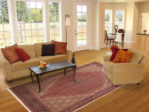 Bidjar Beige Hand Knotted 82 X 112 Area Rug 100-10741 Image 4