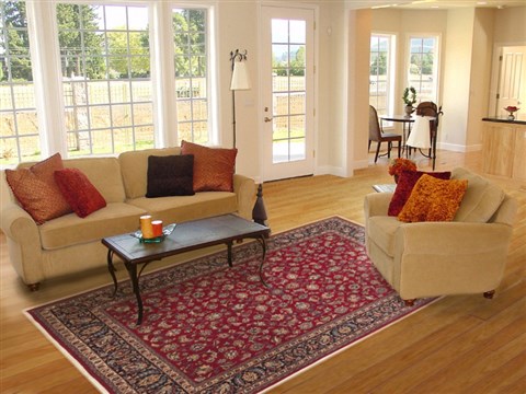 Mashad Red Hand Knotted 80 X 113 Area Rug 100-10746 Image 4