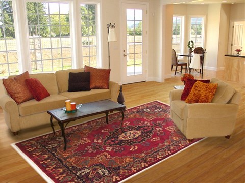 Mashad Red Hand Knotted 82 X 110 Area Rug 100-10754 Image 4