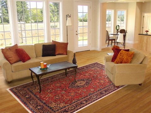 Yazd Red Hand Knotted 80 X 112 Area Rug 100-10756 Image 4