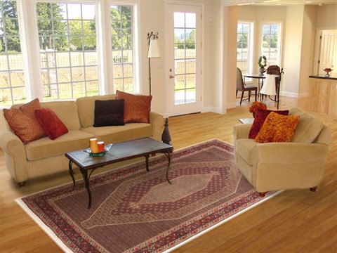 Sanandaj Brown Hand Knotted 80 X 110 Area Rug 100-10759 Image 4