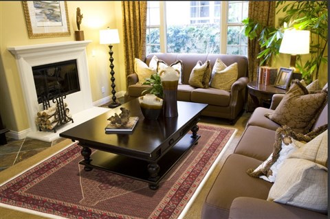 Sanandaj Brown Hand Knotted 80 X 110 Area Rug 100-10759 Image 3