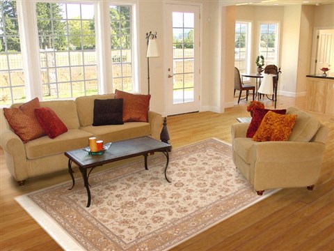 Sino-Persian Beige Hand Knotted 60 X 90 Area Rug 100-10799 Image 4