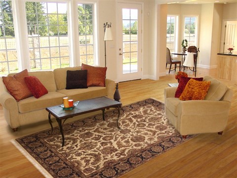 Jaipur Brown Hand Knotted 60 X 90 Area Rug 100-10809 Image 4