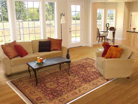 Jaipur Beige Hand Knotted 59 X 92 Area Rug 100-10816 Image 4