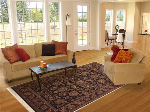 Jaipur Black Hand Knotted 60 X 90 Area Rug 100-10819 Image 4