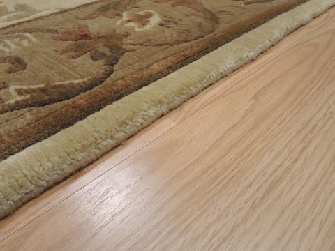 Indo-Nepal Cream Hand Knotted 56 X 80 Area Rug 100-10825 Image 15