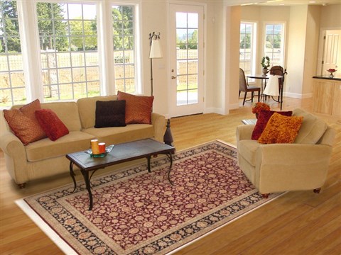 Sino-Persian Red Hand Knotted 60 X 90 Area Rug 100-10834 Image 4