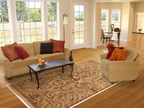 Jaipur Brown Hand Knotted 60 X 88 Area Rug 100-10841 Image 4