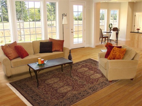 Jaipur Brown Hand Knotted 60 X 90 Area Rug 100-10847 Image 4