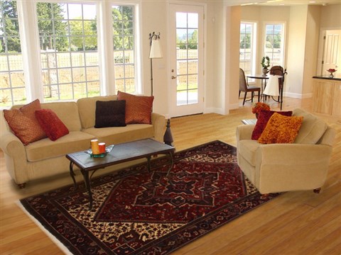 Goravan Red Hand Knotted 78 X 100 Area Rug 100-10880 Image 4