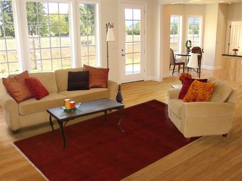 Gabbeh Red Hand Knotted 70 X 100 Area Rug 100-10885 Image 4