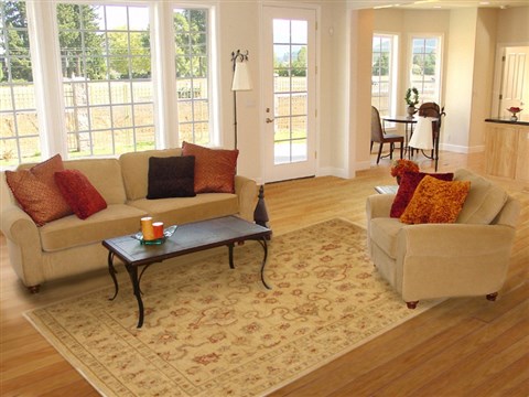 Ziegler Brown Hand Knotted 82 X 911 Area Rug 100-10888 Image 4