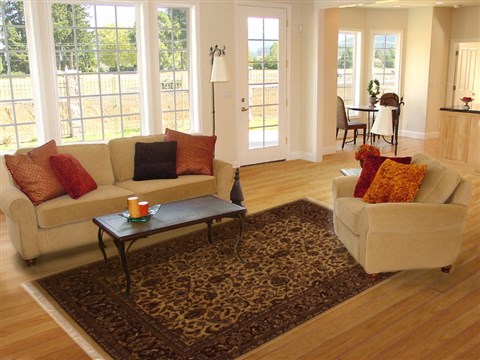 Jaipur Brown Hand Knotted 80 X 100 Area Rug 100-10903 Image 4