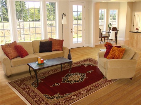 Bidjar Red Hand Knotted 83 X 102 Area Rug 100-10904 Image 4