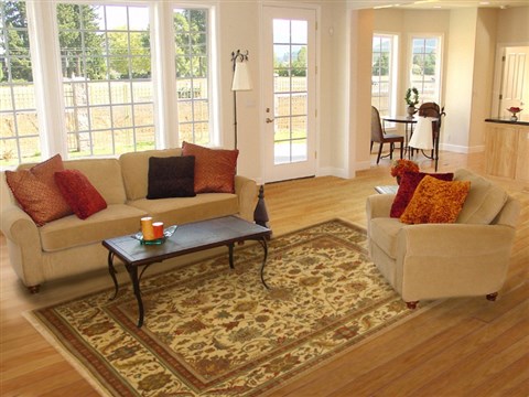 Turkman Green Hand Knotted 711 X 100 Area Rug 100-10921 Image 4