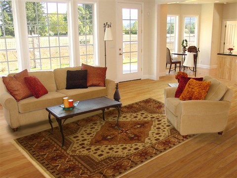 Turkman Brown Hand Knotted 82 X 99 Area Rug 100-10922 Image 4