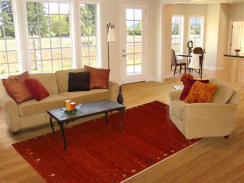 Gabbeh Red Hand Knotted 60 X 90 Area Rug 100-10931 Image 4