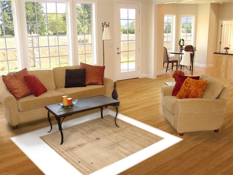 Gabbeh Beige Hand Knotted 55 X 83 Area Rug 100-10932 Image 4