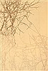 Nepal Beige Hand Knotted 61 X 91 Area Rug 100-10935 Thumb 0