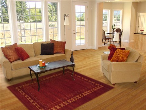 Gabbeh Red Hand Knotted 56 X 79 Area Rug 100-10942 Image 4