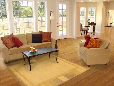Gabbeh Beige Hand Knotted 54 X 81 Area Rug 100-10945 Image 4