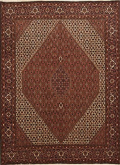 Bidjar Red Hand Knotted 8'3" X 11'6"  Area Rug 100-10986