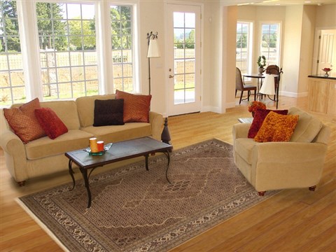 Mahi Beige Hand Knotted 68 X 911 Area Rug 100-10989 Image 4